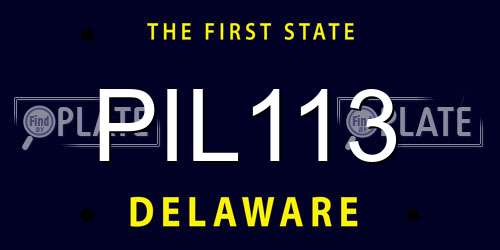 PIL113 Delaware License Plate
