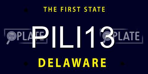 PILI13 Delaware License Plate