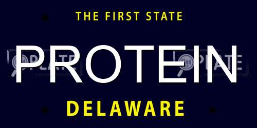 PROTEIN Delaware License Plate