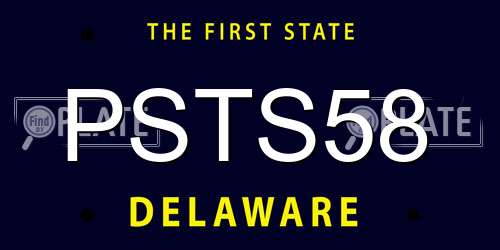 PSTS58 Delaware License Plate