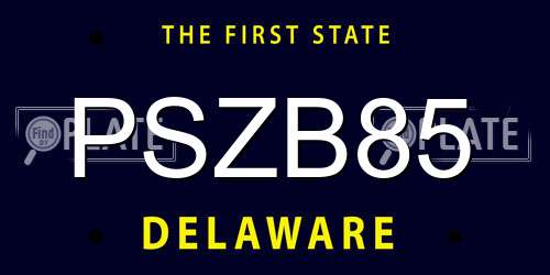PSZB85 Delaware License Plate