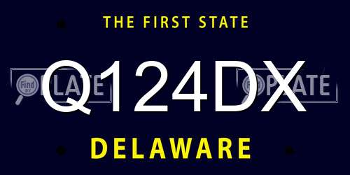 Q124DX Delaware License Plate
