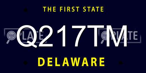 Q217TM Delaware License Plate
