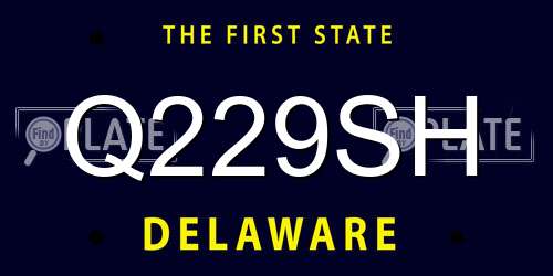 Q229SH Delaware License Plate