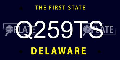 Q259TS Delaware License Plate