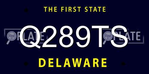 Q289TS Delaware License Plate