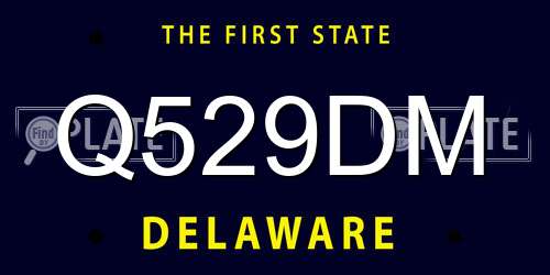 Q529DM Delaware License Plate