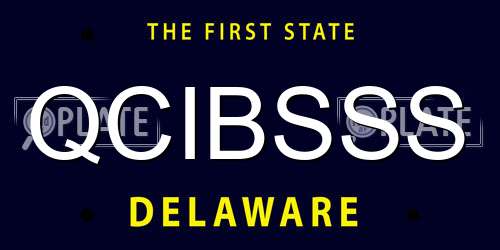 QCIBSSS Delaware License Plate