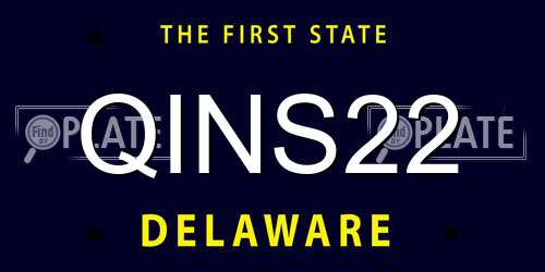 QINS22 Delaware License Plate