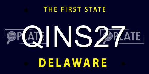 QINS27 Delaware License Plate