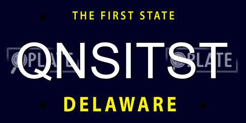 QNSITST Delaware License Plate
