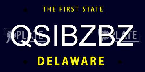 QSIBZBZ Delaware License Plate