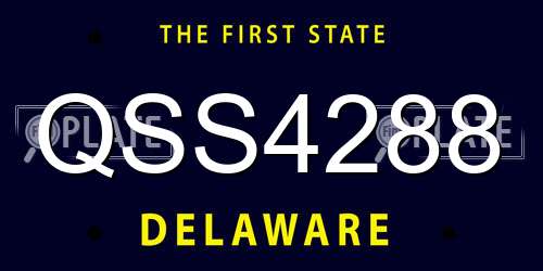 QSS4288 Delaware License Plate