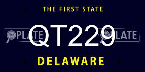 QT229 Delaware License Plate