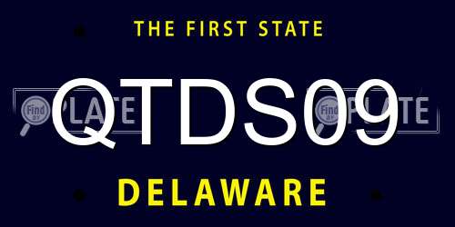 QTDS09 Delaware License Plate