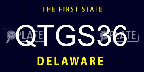 QTGS36 Delaware License Plate