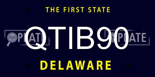 QTIB90 Delaware License Plate