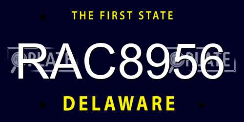 RAC8956 Delaware License Plate