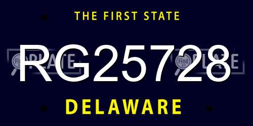RG25728 Delaware License Plate
