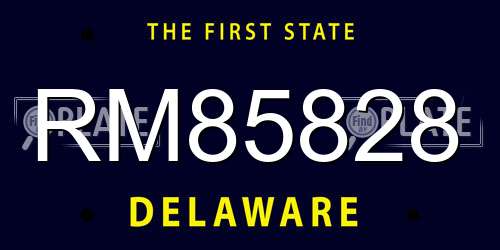 RM85828 Delaware License Plate