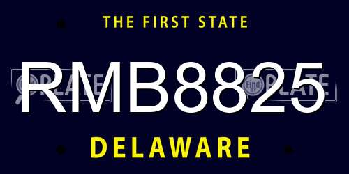 RMB8825 Delaware License Plate