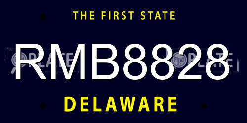 RMB8828 Delaware License Plate
