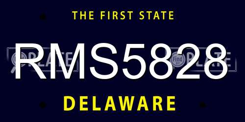 RMS5828 Delaware License Plate