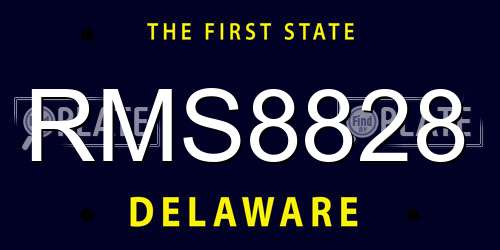 RMS8828 Delaware License Plate