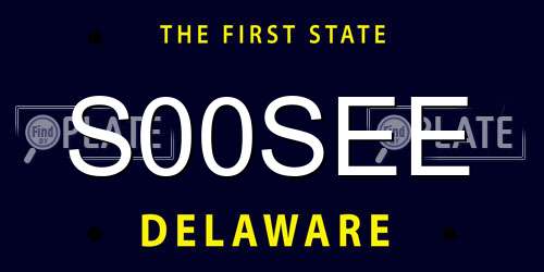 S00SEE Delaware License Plate