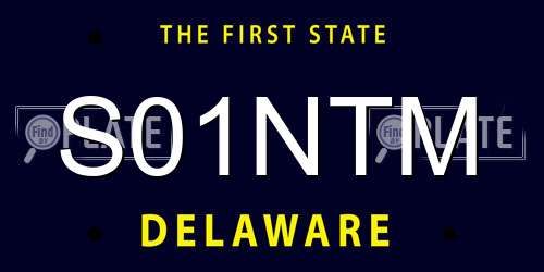S01NTM Delaware License Plate