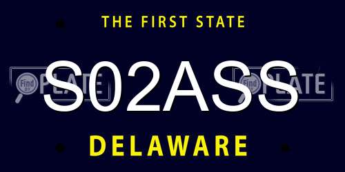 S02ASS Delaware License Plate