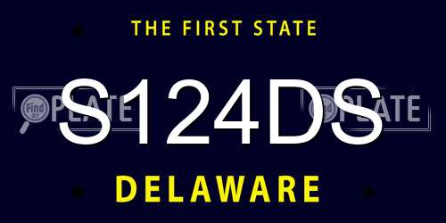 S124DS Delaware License Plate