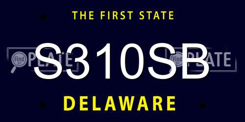 S310SB Delaware License Plate