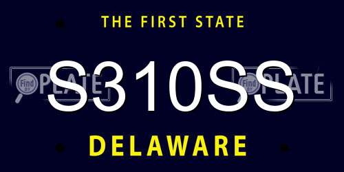 S310SS Delaware License Plate