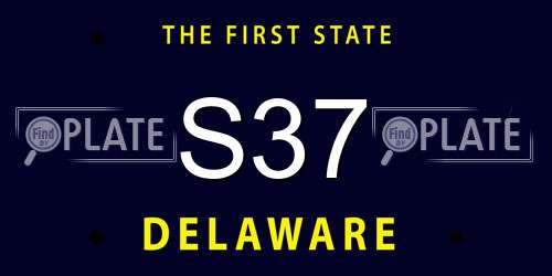 S37 Delaware License Plate