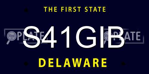 S41GIB Delaware License Plate