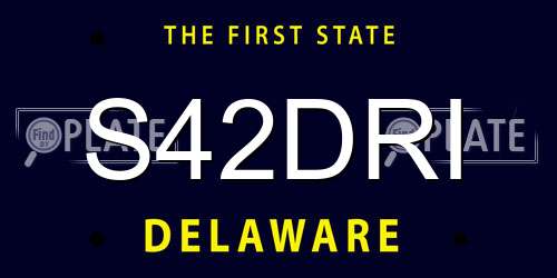 S42DRI Delaware License Plate