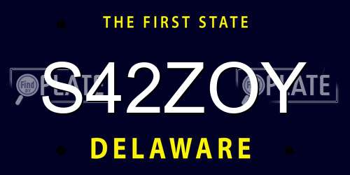 S42ZOY Delaware License Plate