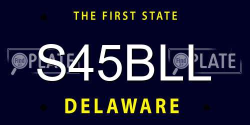S45BLL Delaware License Plate