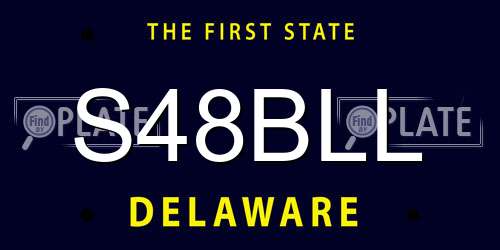 S48BLL Delaware License Plate