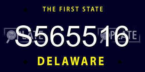 S565516 Delaware License Plate