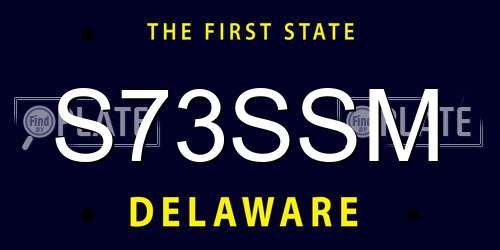 S73SSM Delaware License Plate