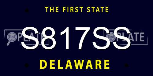 S817SS Delaware License Plate