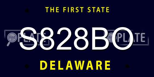 S828BO Delaware License Plate