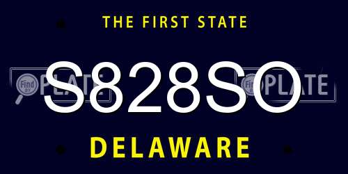 S828SO Delaware License Plate