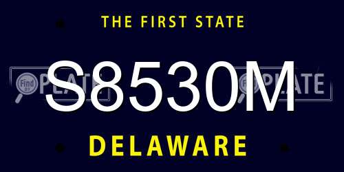 S8530M Delaware License Plate