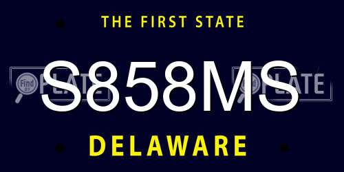 S858MS Delaware License Plate