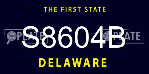 S8604B Delaware License Plate