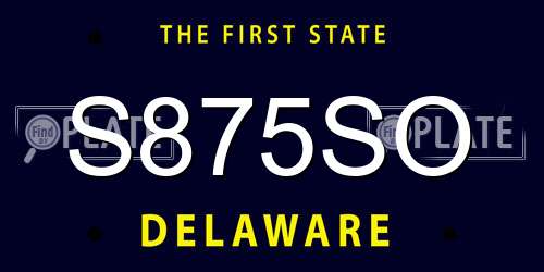 S875SO Delaware License Plate