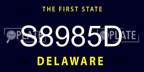S8985D Delaware License Plate